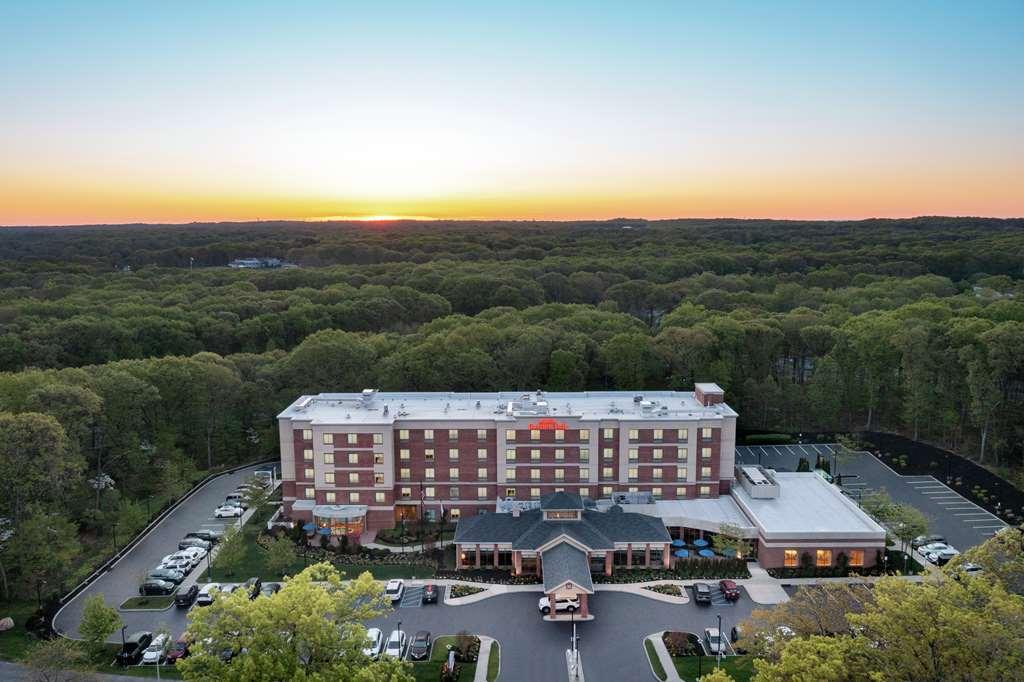 Hilton Garden Inn Tampa East Brandon Mango Екстериор снимка