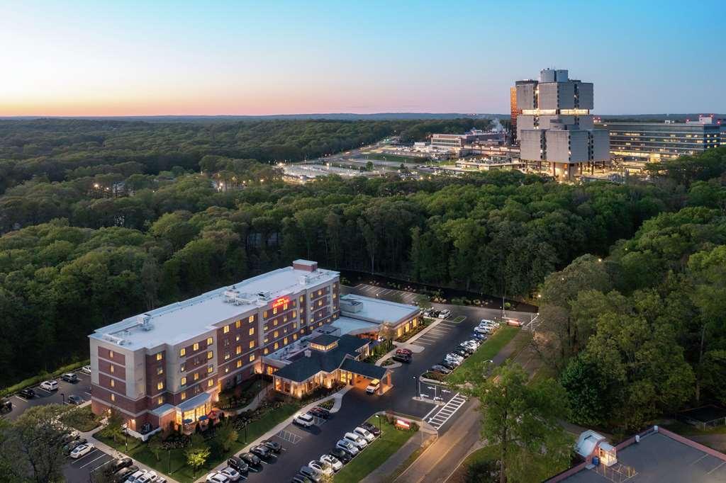 Hilton Garden Inn Tampa East Brandon Mango Екстериор снимка